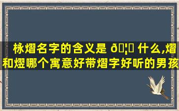 栐熠名字的含义是 🦅 什么,熠和熤哪个寓意好带熠字好听的男孩名 🦈 字有哪些